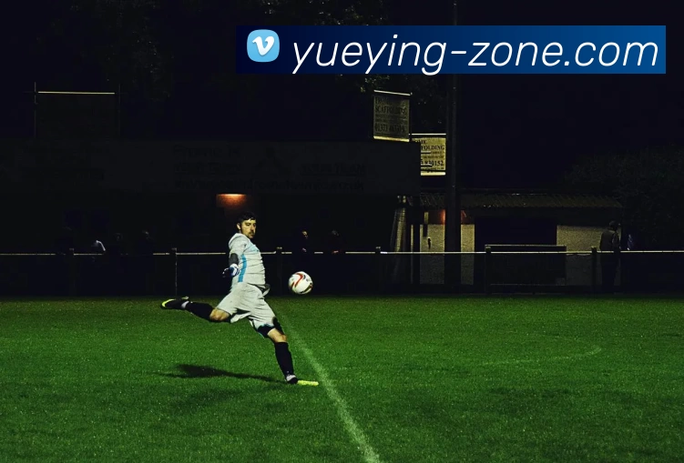 悦盈体育资讯平台生态图