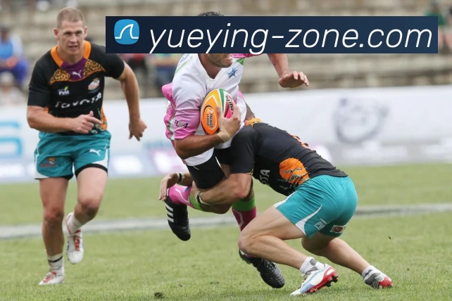 悦盈体育资讯全站App